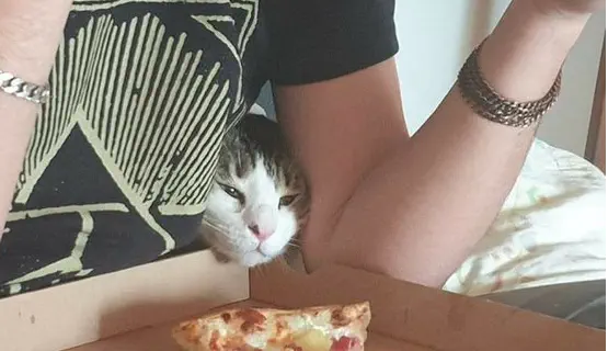 【可愛すぎる】ツイッターのおもしろ動物②【爆笑】