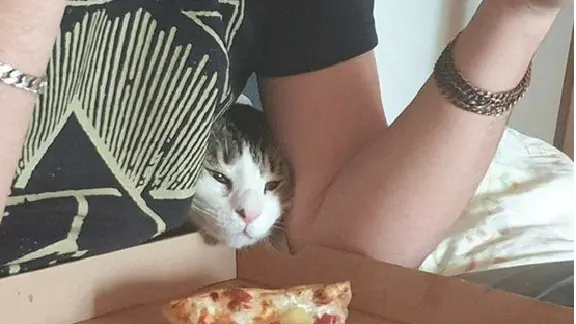 【可愛すぎる】ツイッターのおもしろ動物②【爆笑】