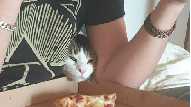 【可愛すぎる】ツイッターのおもしろ動物②【爆笑】