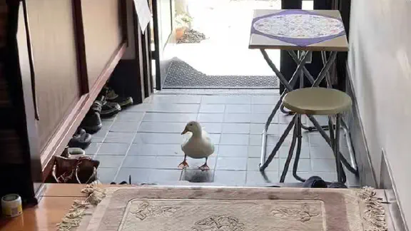 5月25日のトレンド記事