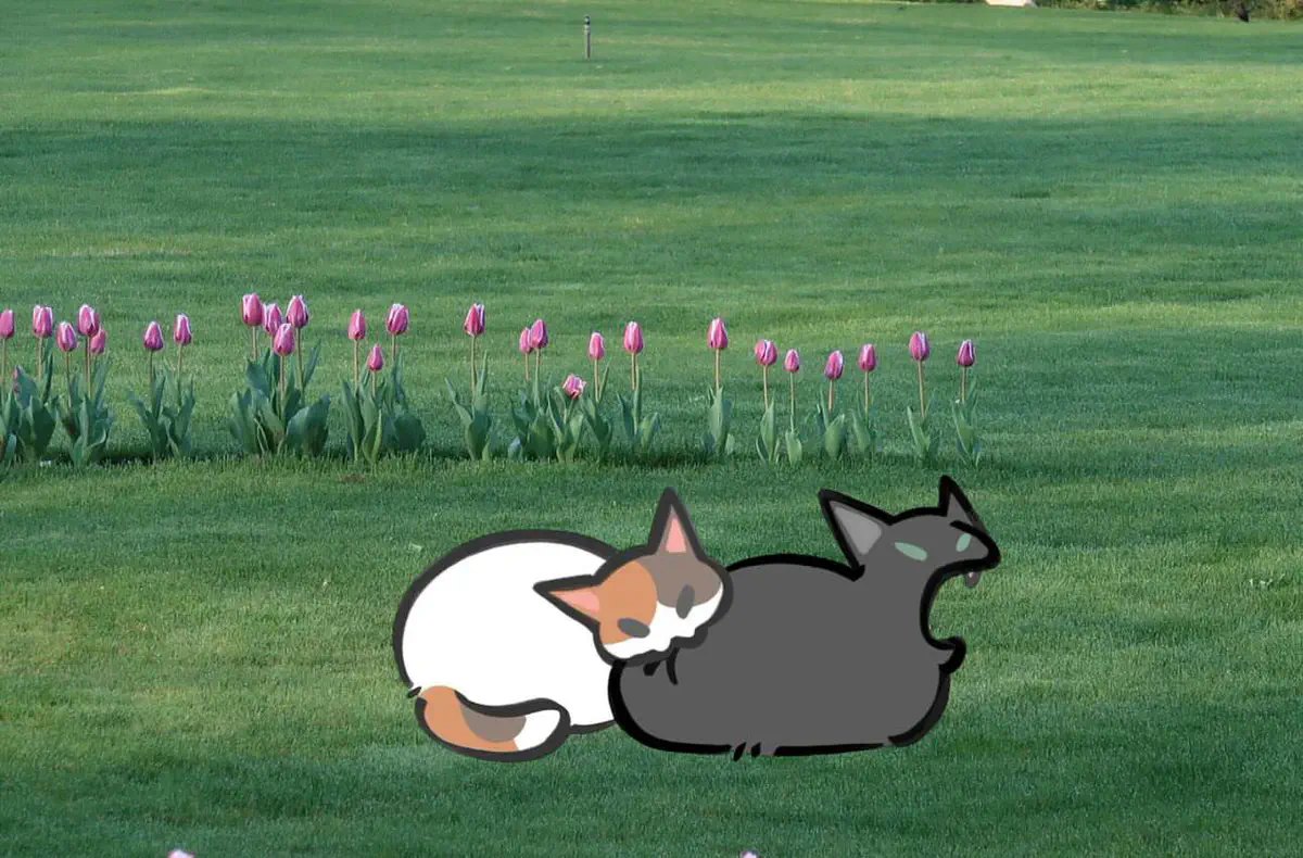 6月1日のトレンド記事