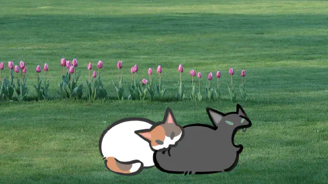 6月1日のトレンド記事