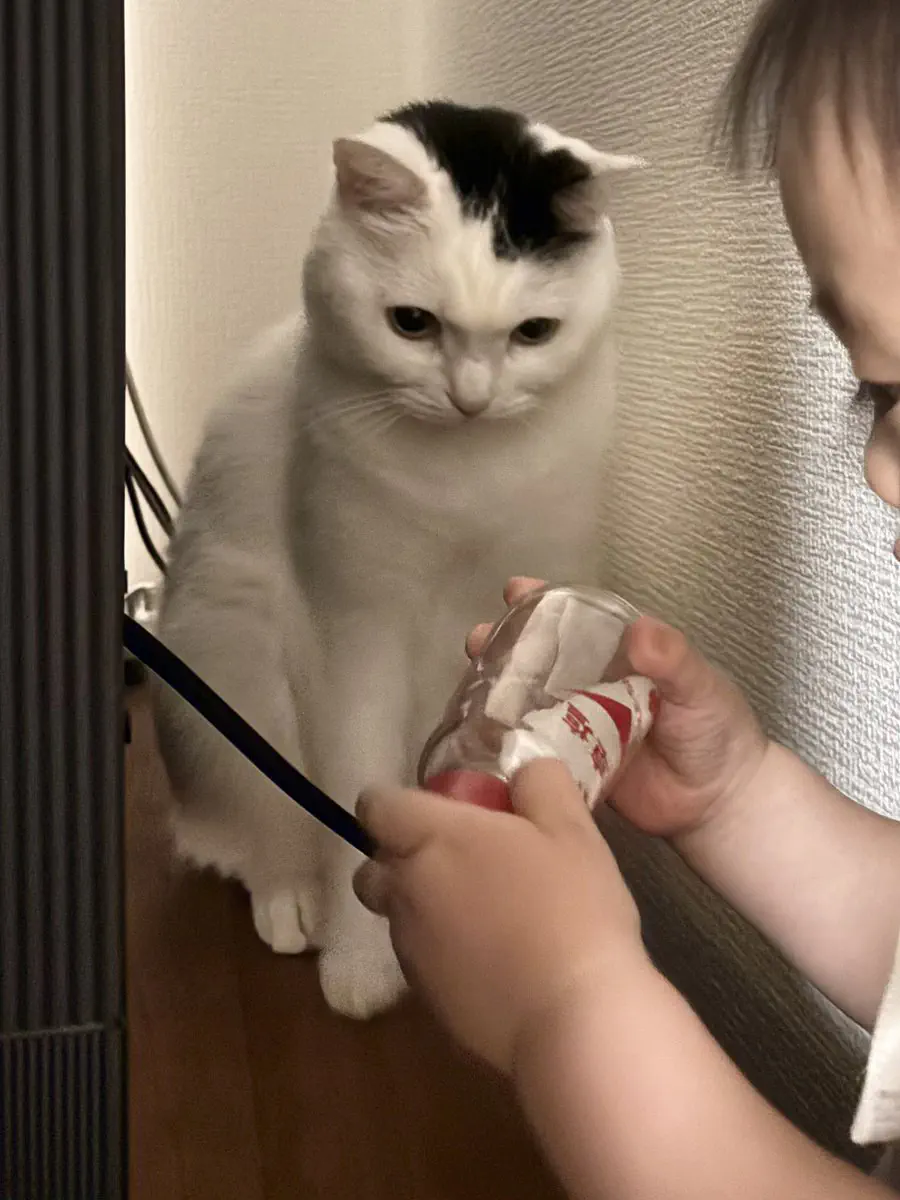 6月8日のトレンド記事