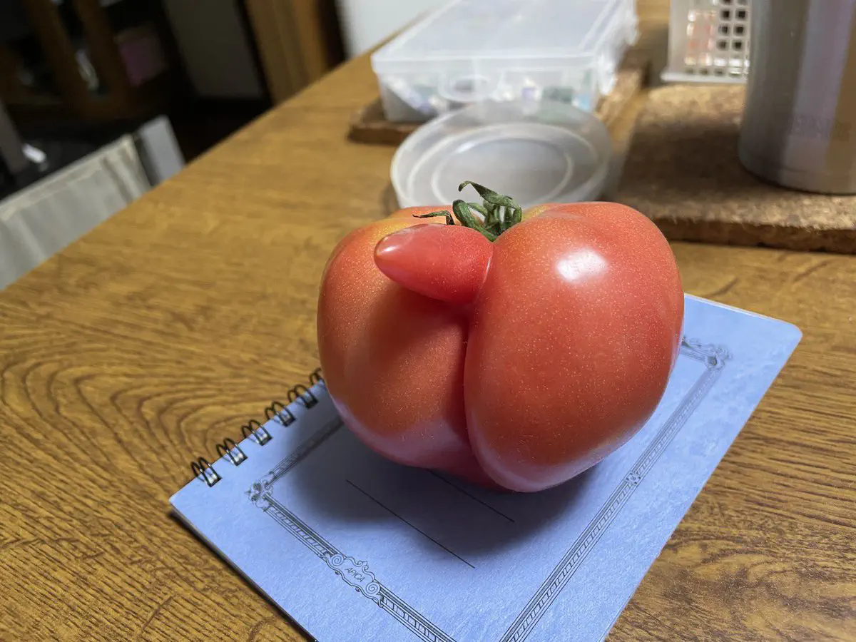7月1日のトレンド記事