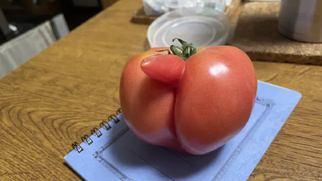7月1日のトレンド記事