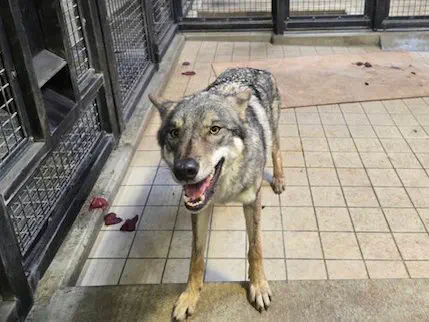 12月29日のトレンド記事