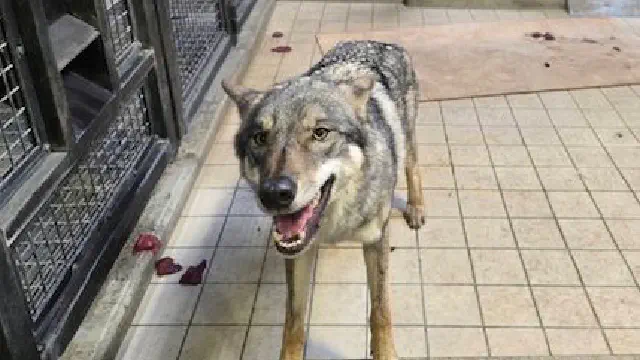 12月29日のトレンド記事