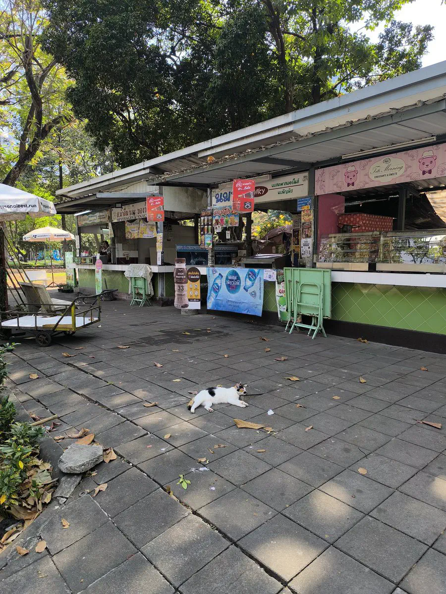 1月1日のトレンド記事