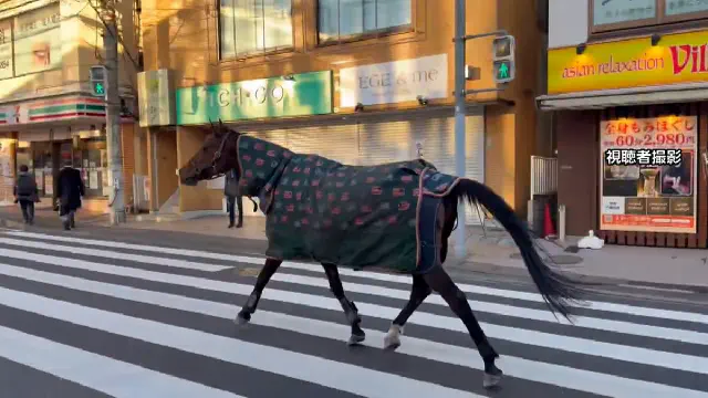 1月5日のトレンド記事