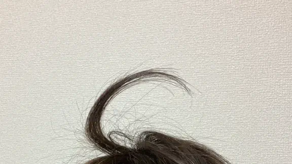 1月16日のトレンド記事