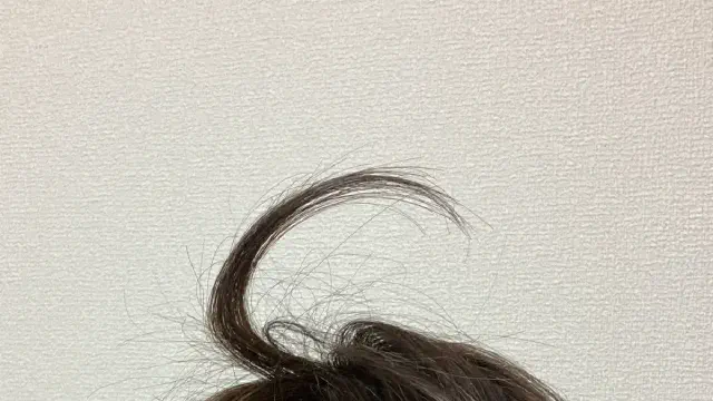 1月16日のトレンド記事