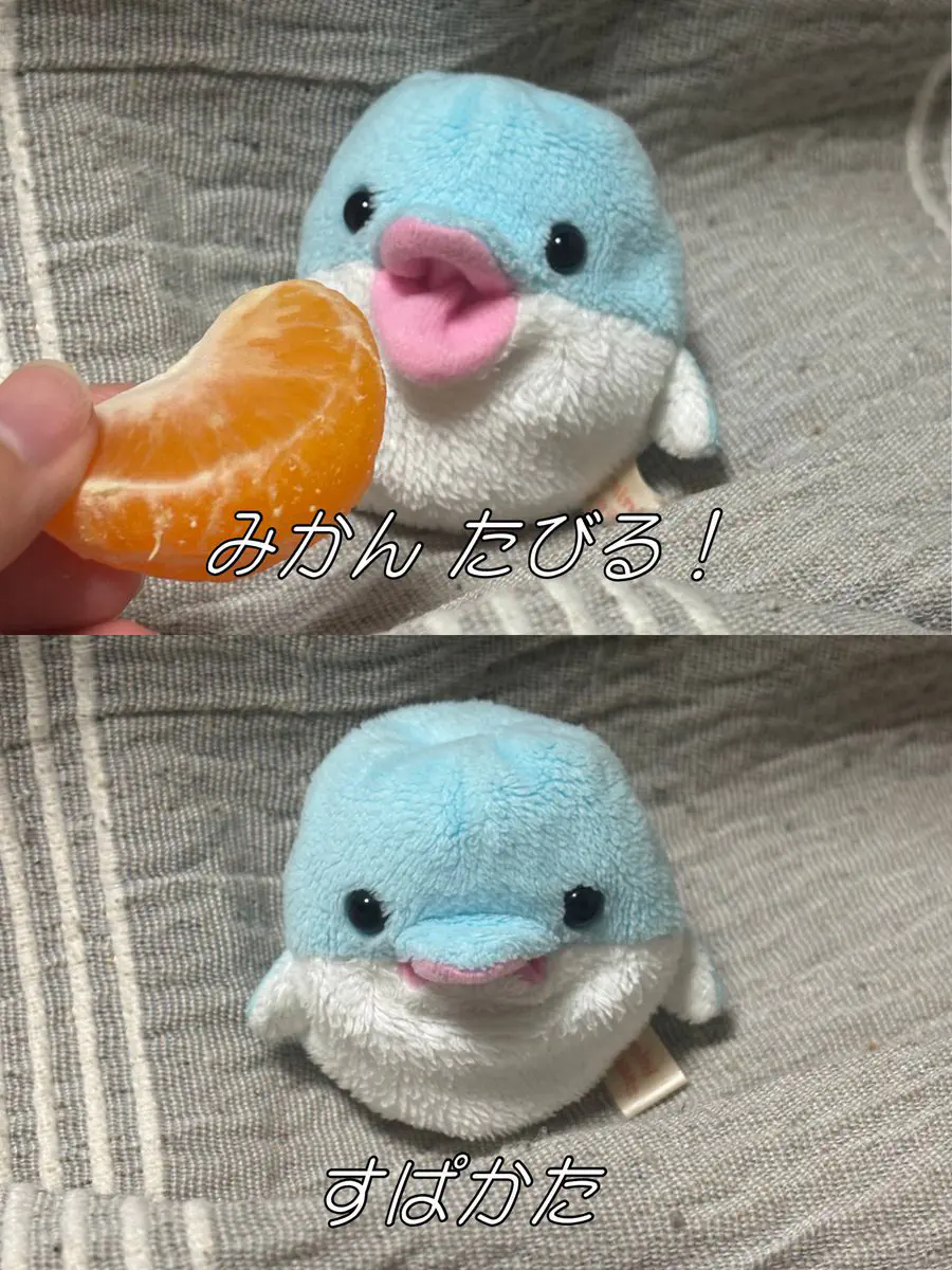 1月17日のトレンド記事