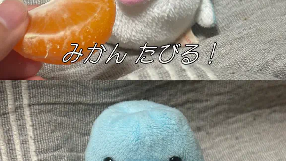 1月17日のトレンド記事