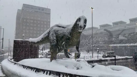 1月22日のトレンド記事