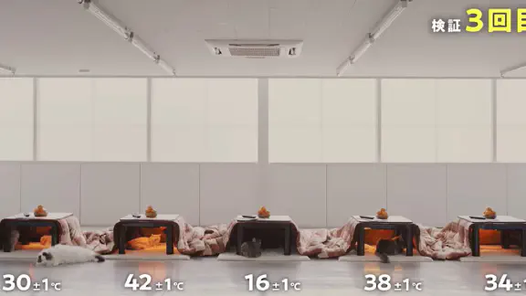 1月27日のトレンド記事