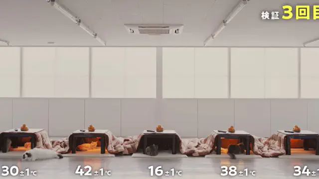 1月27日のトレンド記事