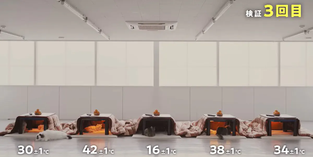 1月27日のトレンド記事