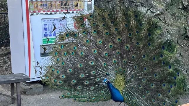 2月1日のトレンド記事