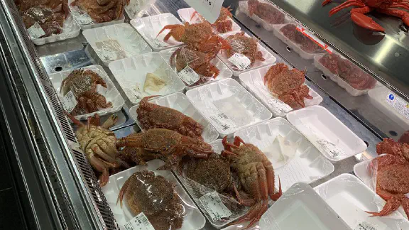 2月7日のトレンド記事