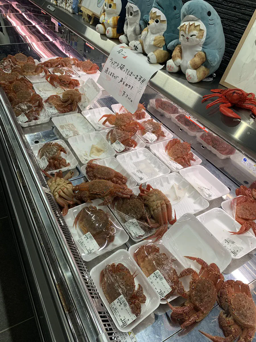 2月7日のトレンド記事