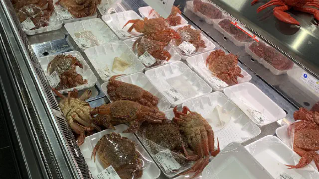 2月7日のトレンド記事