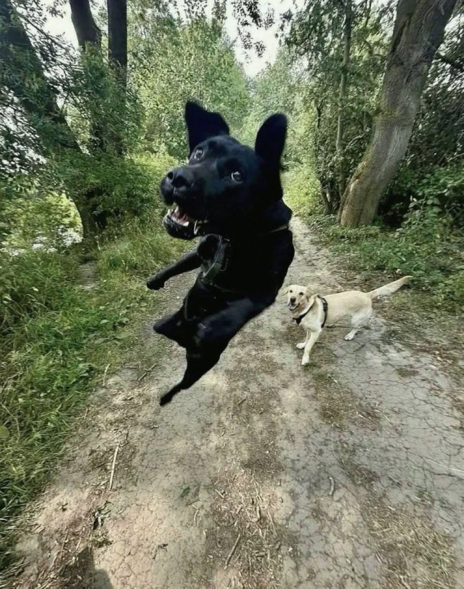 2月11日のトレンド記事