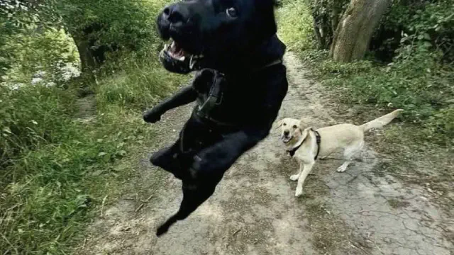 2月11日のトレンド記事