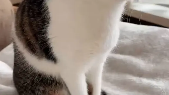 2月13日のトレンド記事