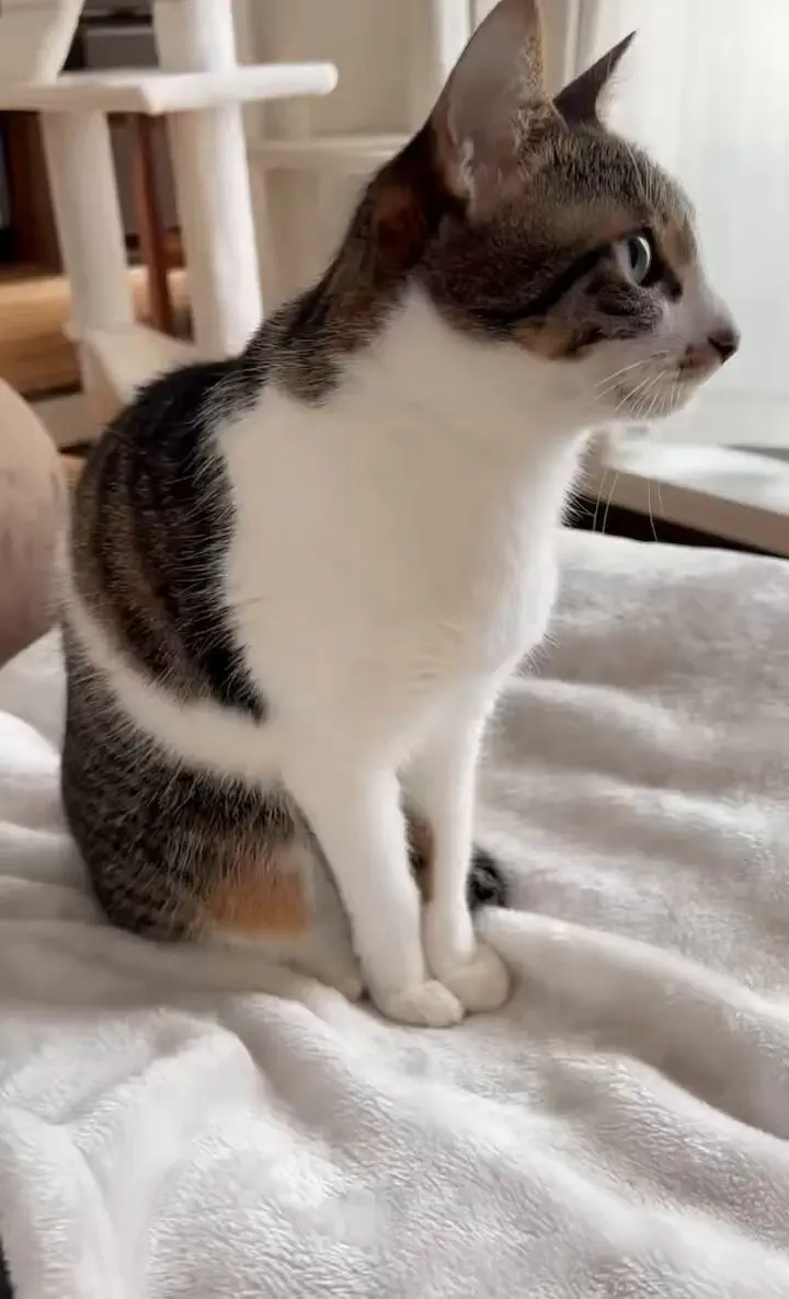 2月13日のトレンド記事