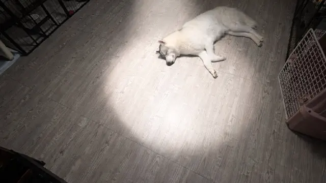 2月20日のトレンド記事