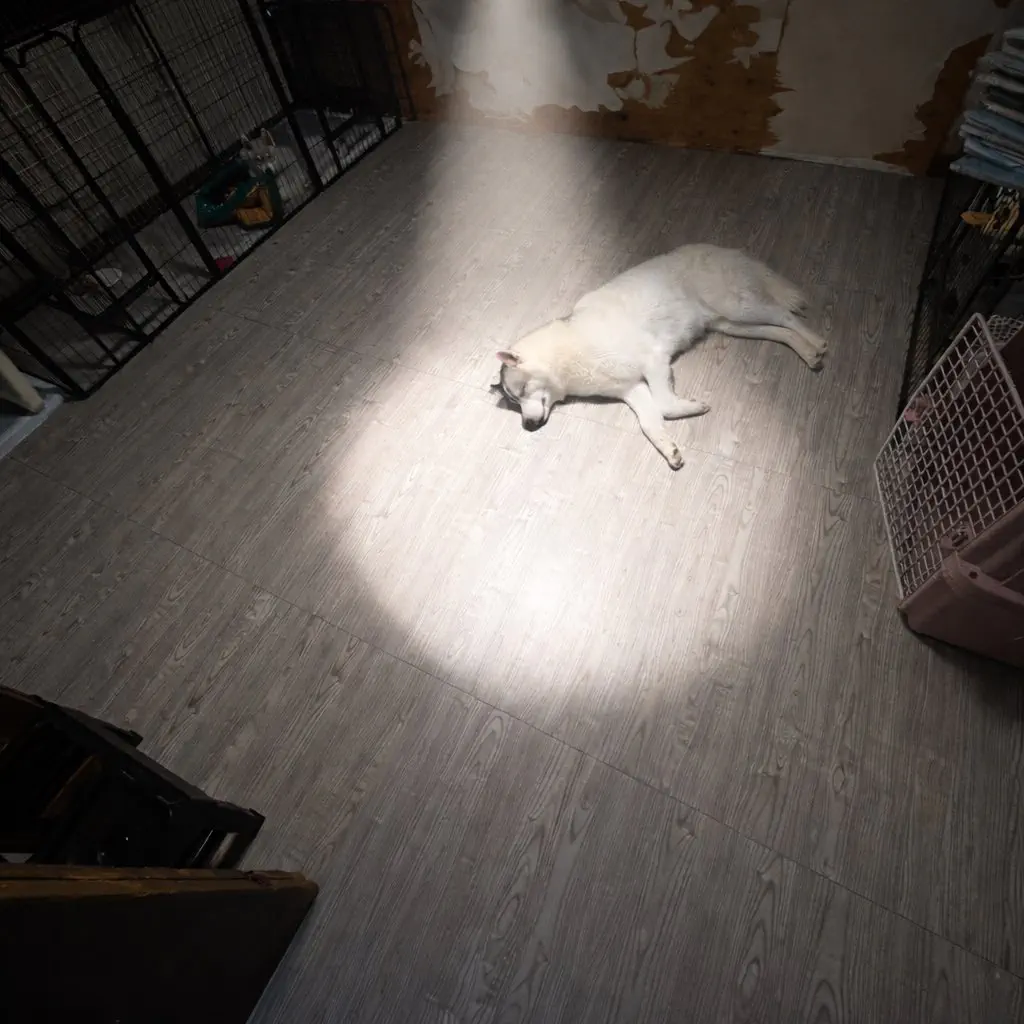 2月20日のトレンド記事