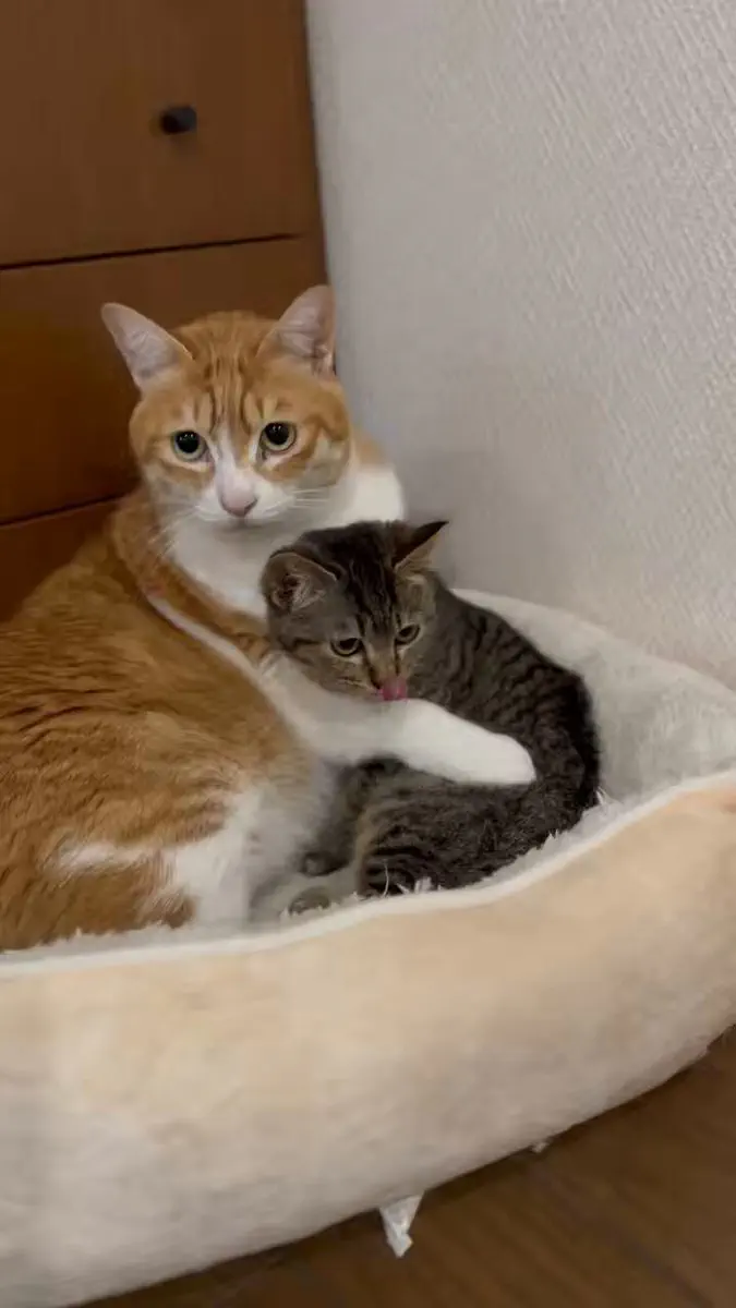 2月22日のトレンド記事