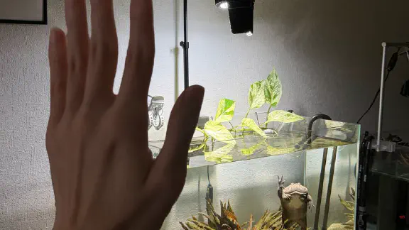 2月24日のトレンド記事