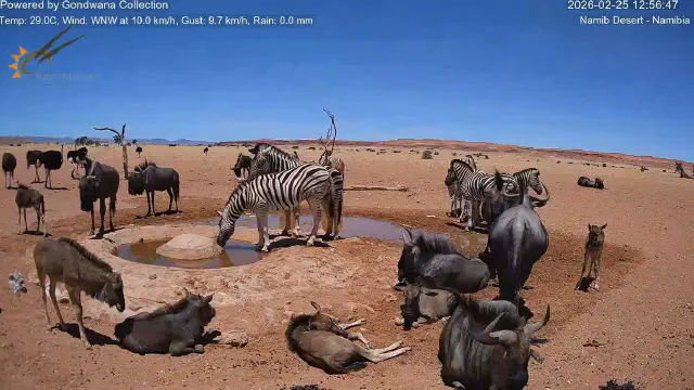 2月25日のトレンド記事