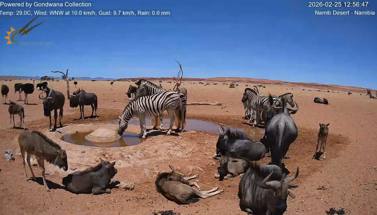 2月25日のトレンド記事