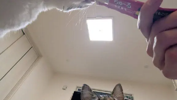 2月26日のトレンド記事