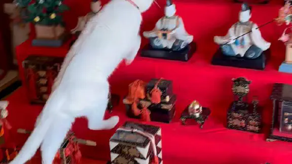 2月28日のトレンド記事