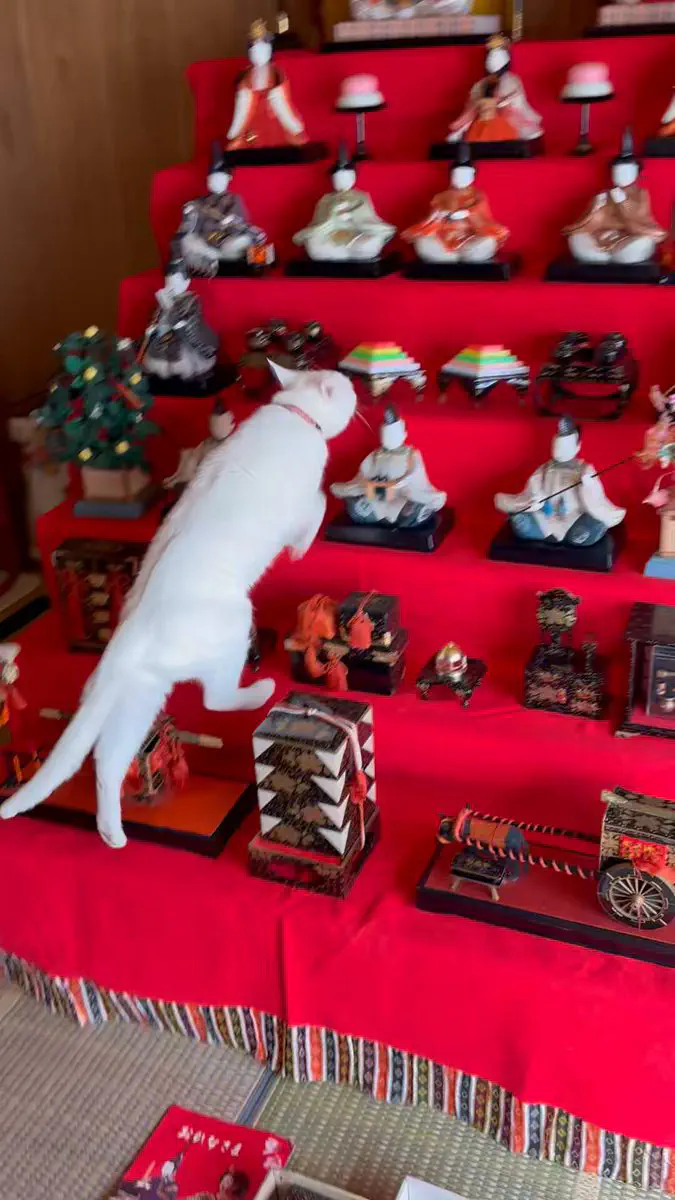 2月28日のトレンド記事