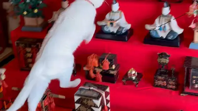 2月28日のトレンド記事