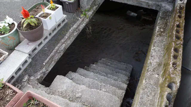 3月1日のトレンド記事