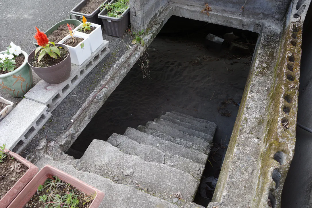 3月1日のトレンド記事