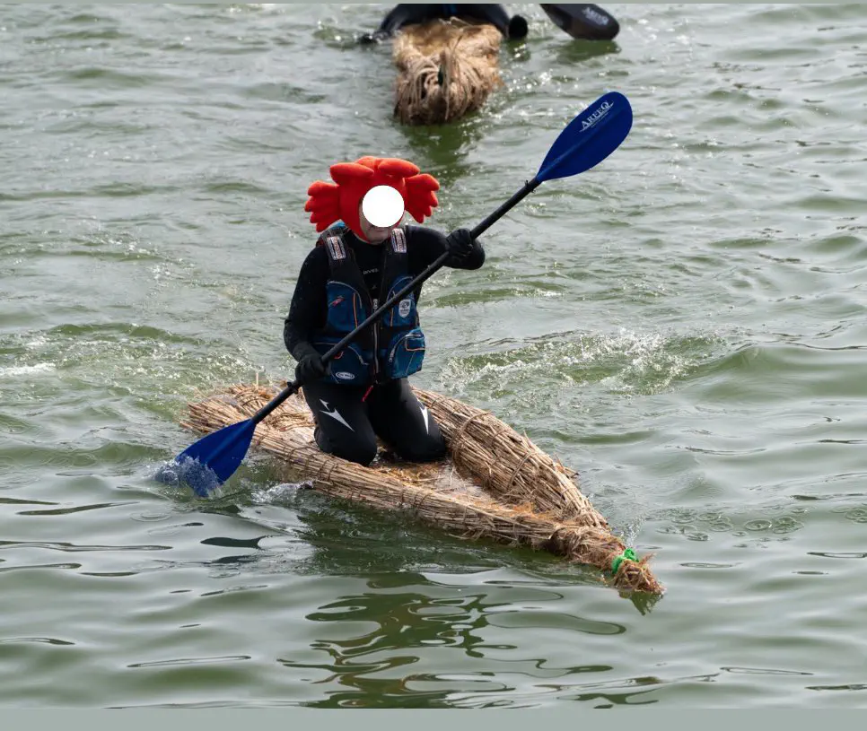 3月1日のトレンド記事