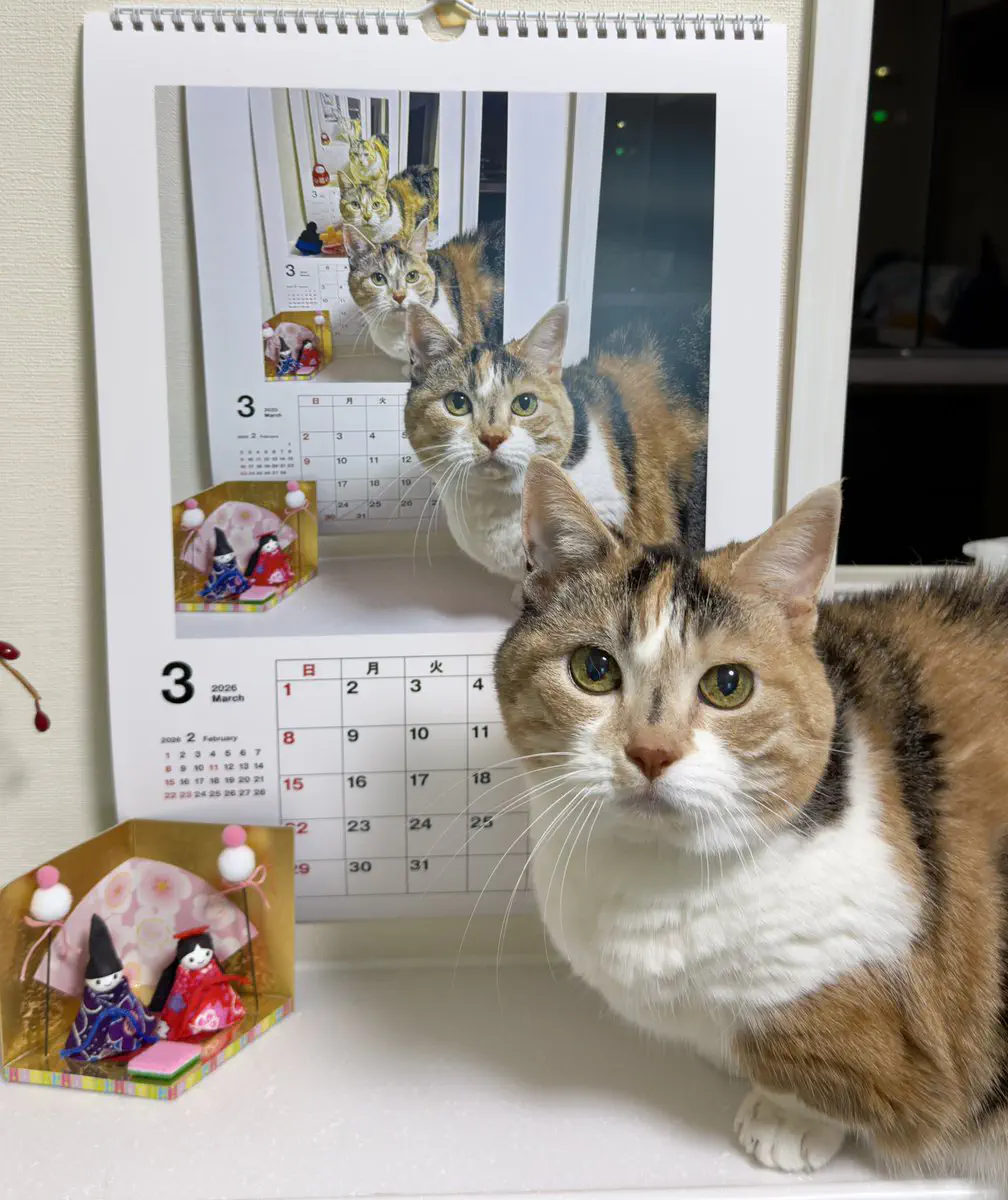 3月2日のトレンド記事