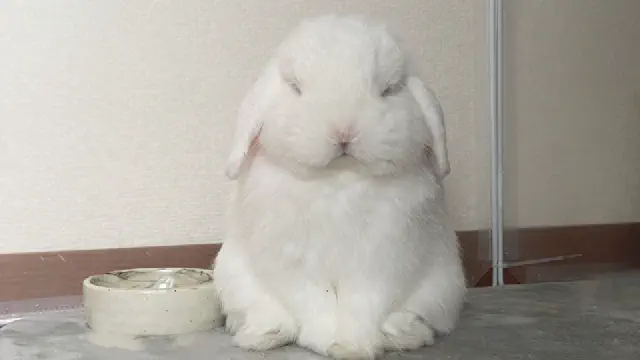 3月3日のトレンド記事