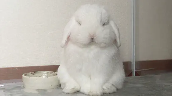 3月3日のトレンド記事