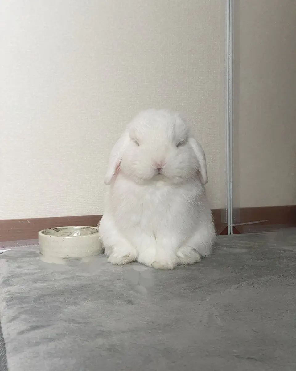 3月3日のトレンド記事