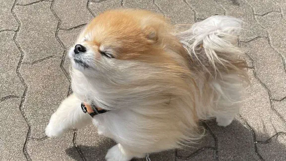 3月8日のトレンド記事