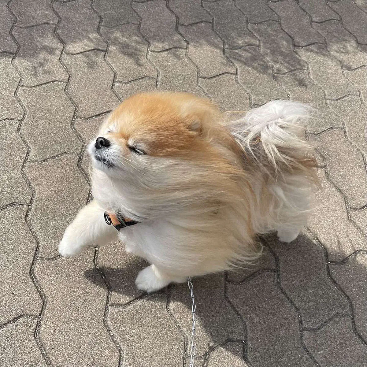 3月8日のトレンド記事