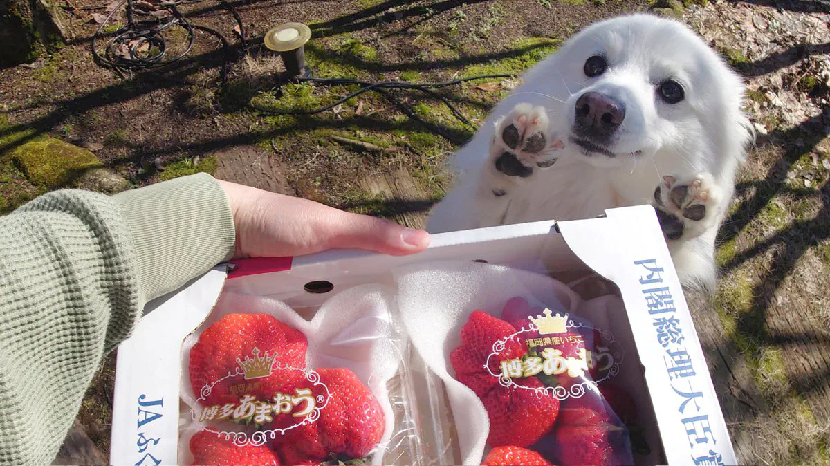 3月9日のトレンド記事