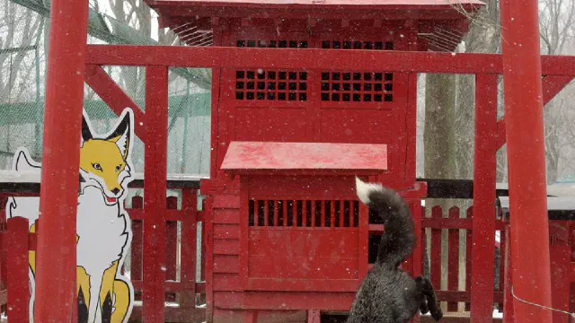 3月10日のトレンド記事